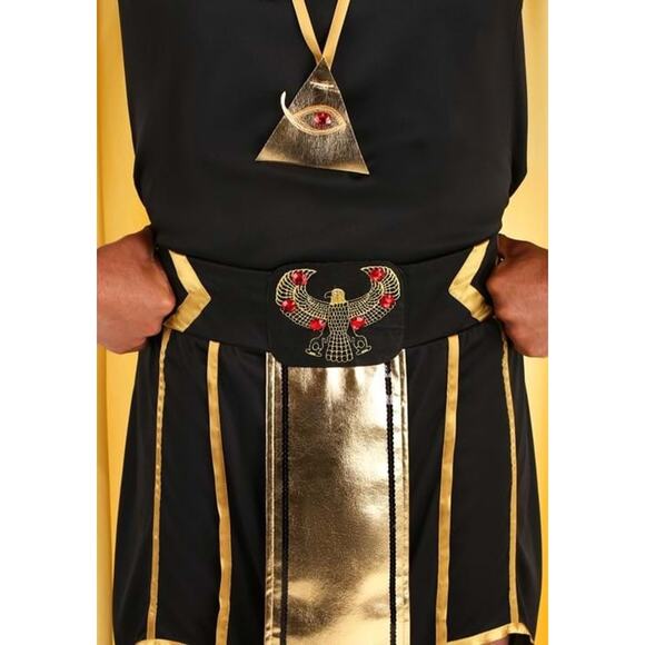 Spirit King of Egypt Pharaoh Halloween Costume Adult SZ Medium Cosplay - Picture 7 of 10